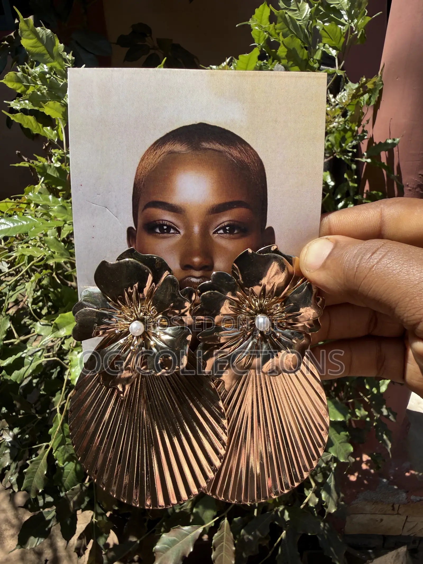 Bold Earrings