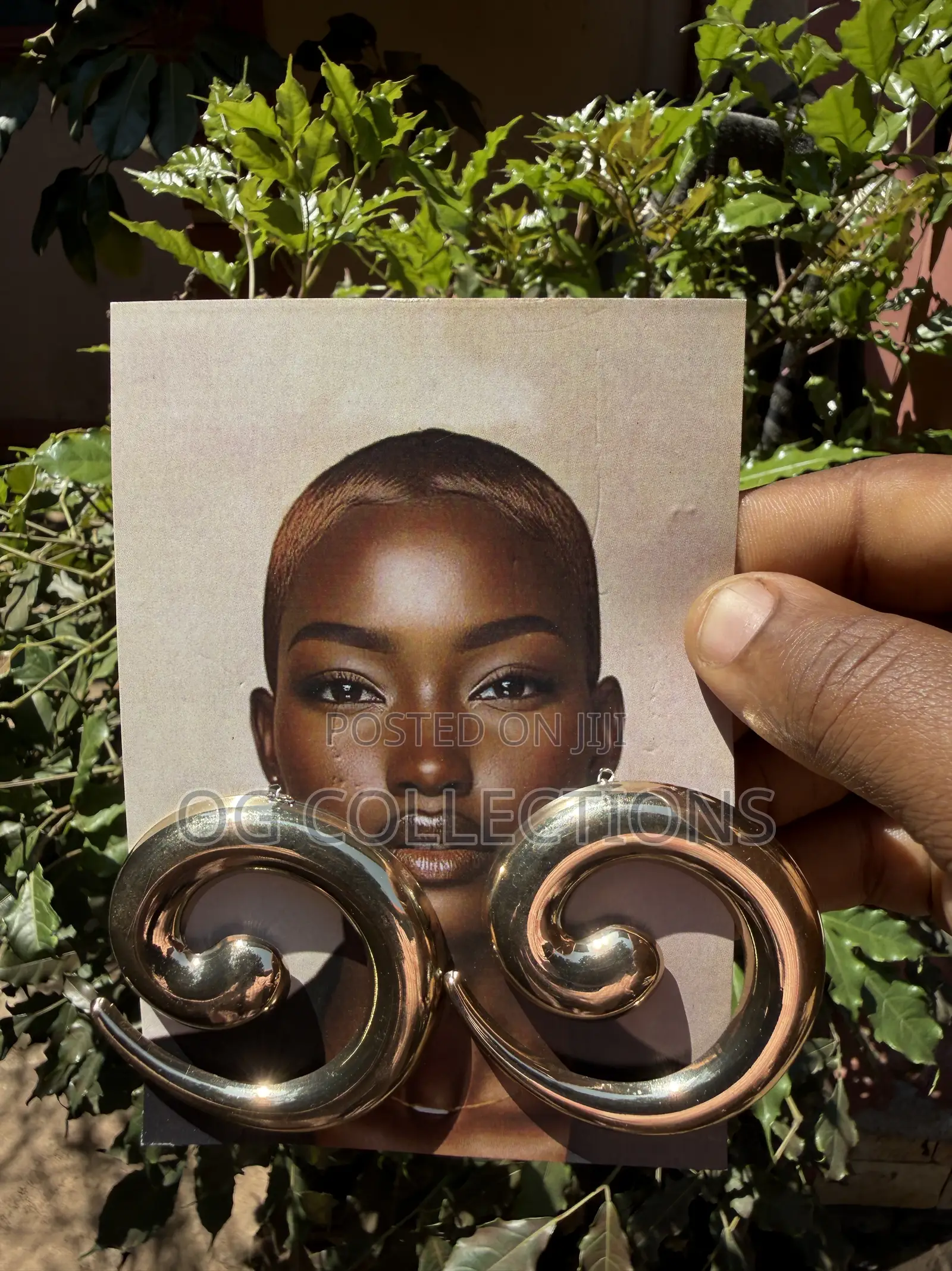 Bold Earrings
