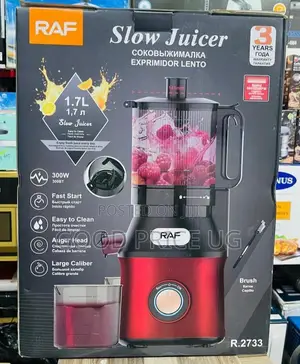 Cold Press Slow Juicer