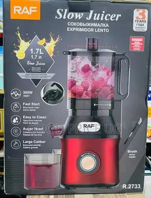 Cold Press Slow Juicer