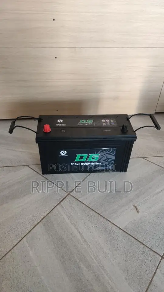 N100 100ah Maintenance Free Car Battery Dg African Dragon