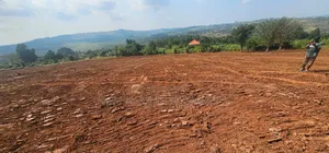 Lake View Plots With Ready Private Mile Land Title on Sale