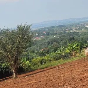 Lake View Plots With Ready Private Mile Land Title on Sale