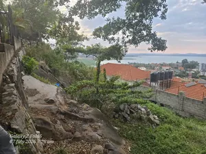 15 Decimals With Clear Lake View Onquicksale in Muyenga Bukasa Heights