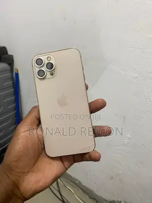 Apple iPhone 12 Pro Max 256 GB Rose Gold