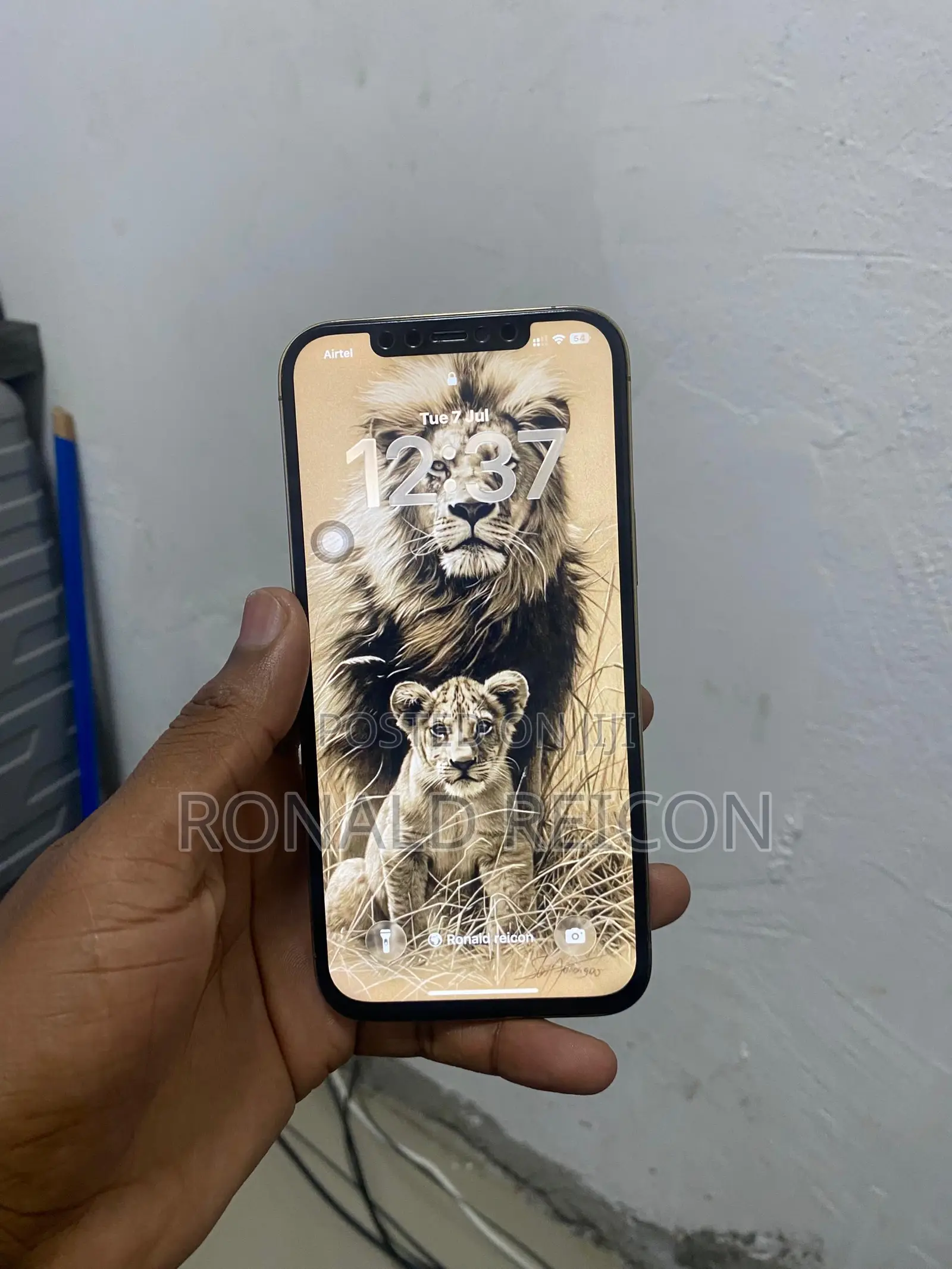 Apple iPhone 12 Pro Max 256 GB Rose Gold