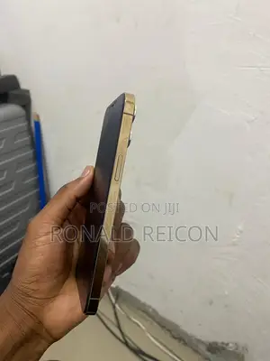 Apple iPhone 12 Pro Max 256 GB Rose Gold