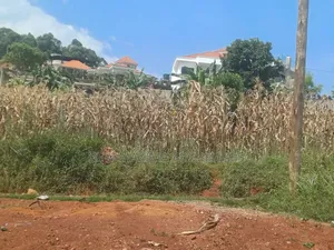 5bdrm House in Kigo Opposite Serena, Central Division for sale
