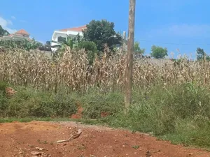 5bdrm House in Kigo Opposite Serena, Central Division for sale