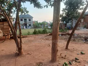 Affordable Beautiful Plot on Quicksale After Munyonyo Near Kazi Beach