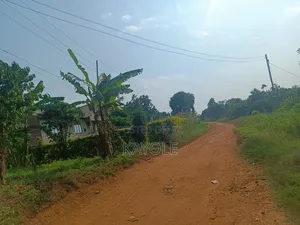 Half Acre in Bombo 6.5m No Blockers