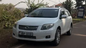 Toyota Corolla Fielder 2009 White