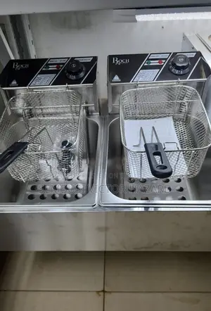 Roch Double Electric Deep Fryer