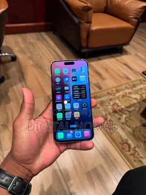 Apple iPhone 15 Pro Max 256 GB Gray
