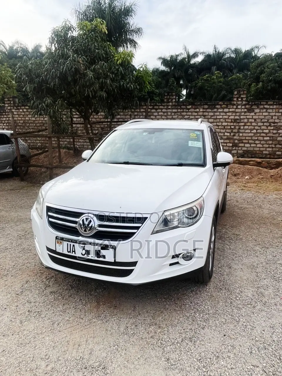Volkswagen Tiguan 2012 White