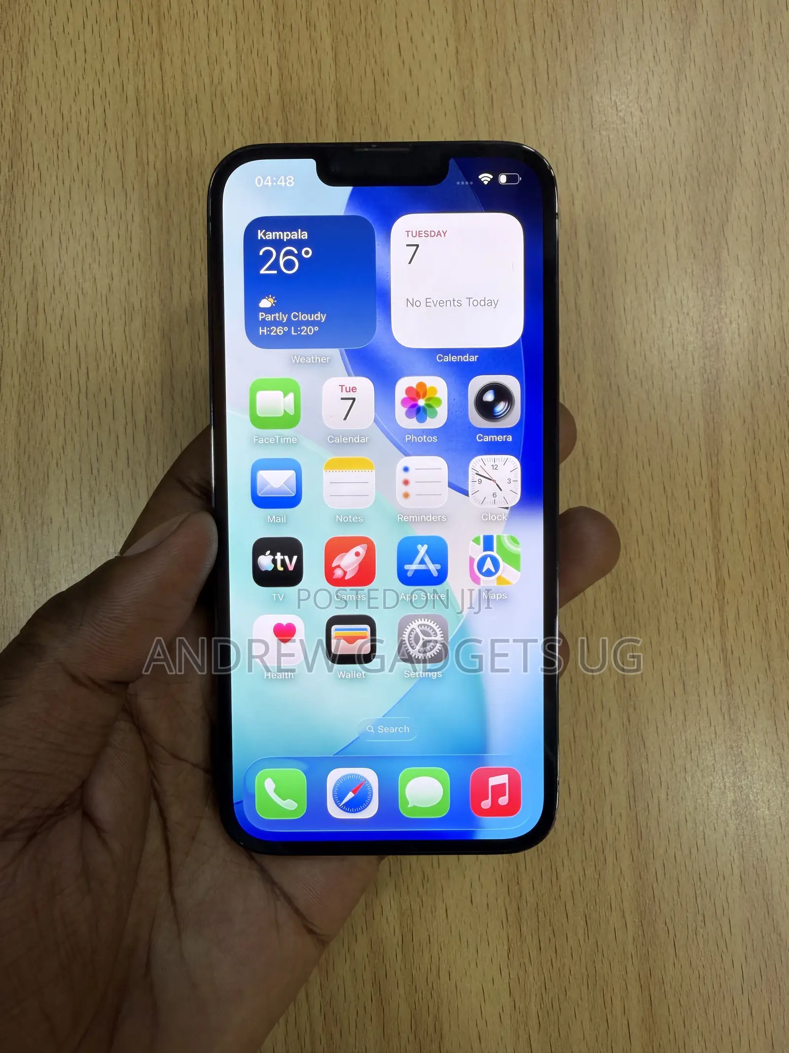 Apple iPhone 13 Pro 256 GB Gray