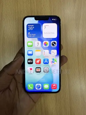 Apple iPhone 13 Pro 256 GB Gray