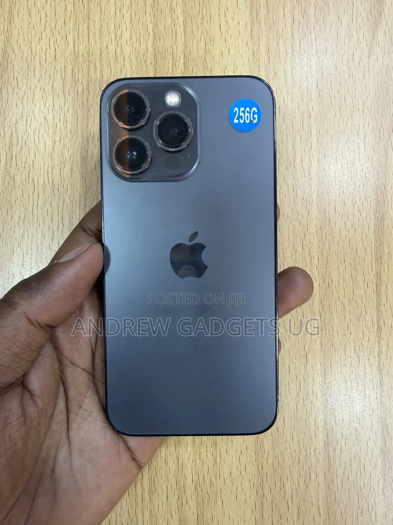 Apple iPhone 13 Pro 256 GB Gray