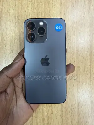 Apple iPhone 13 Pro 256 GB Gray