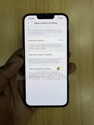 Apple iPhone 13 Pro 256 GB Gray