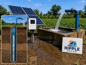 1500w Solar Borehole Water Pump 165m Head 110v 6000l/H