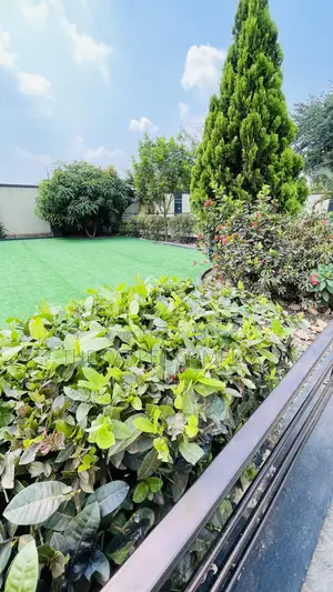 Floor Grass Carpets Executive Per Squaremeter