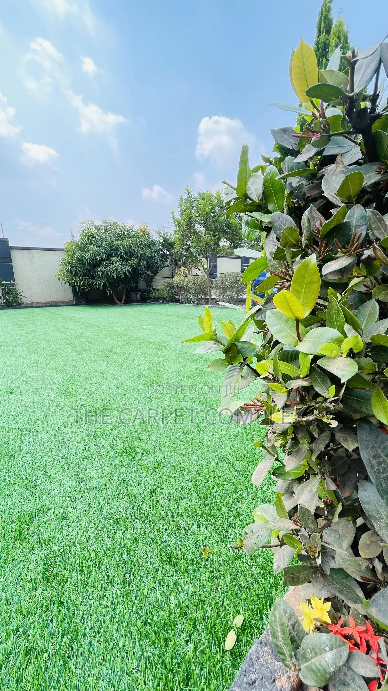 Floor Grass Carpets Executive Per Squaremeter
