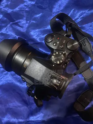 Panasonic Lumix Fx300 Camera