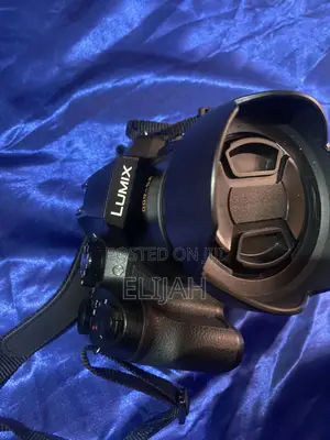 Panasonic Lumix Fx300 Camera