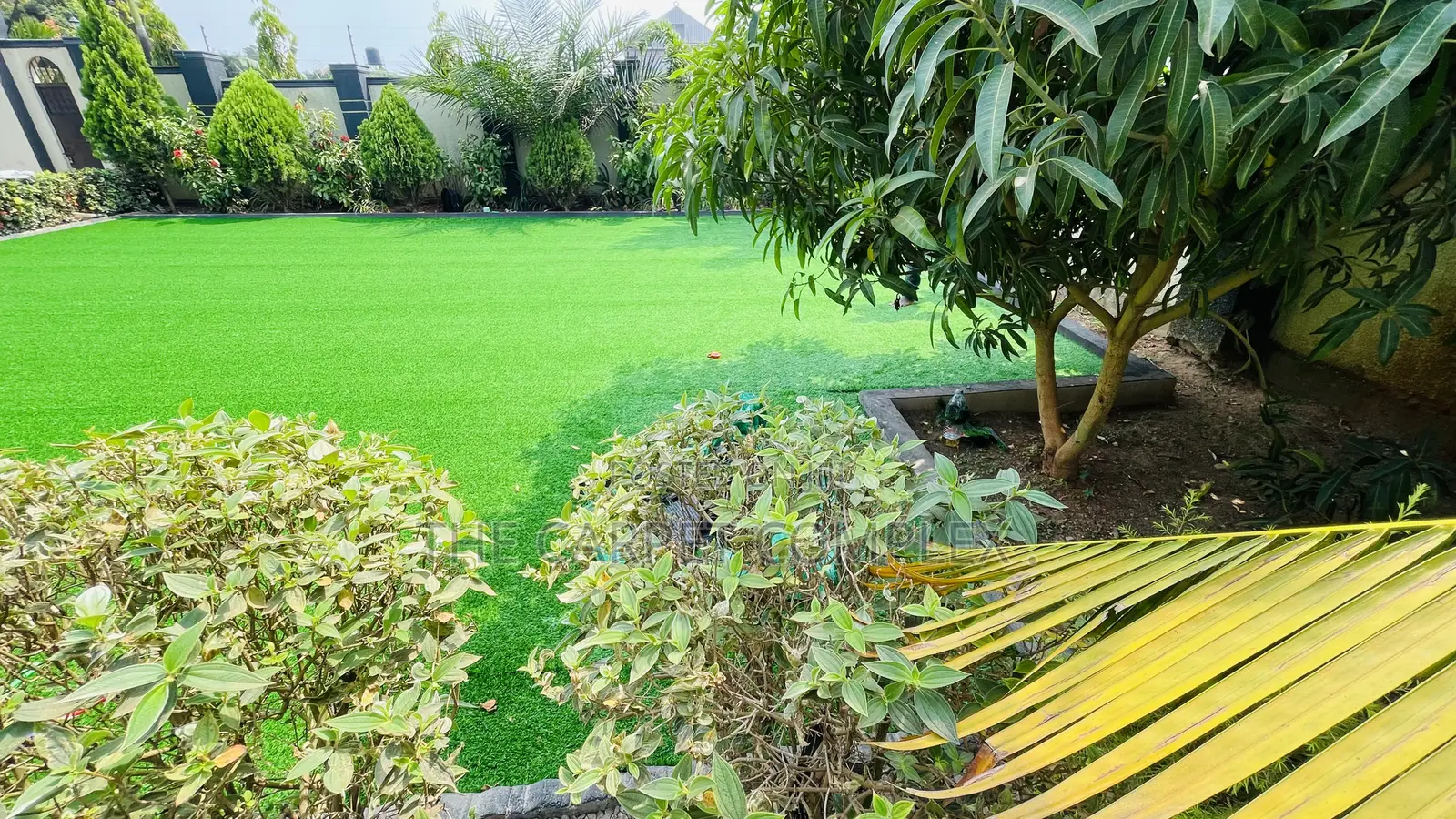 Home Beautiful Grass Carpets Per Squaremeter