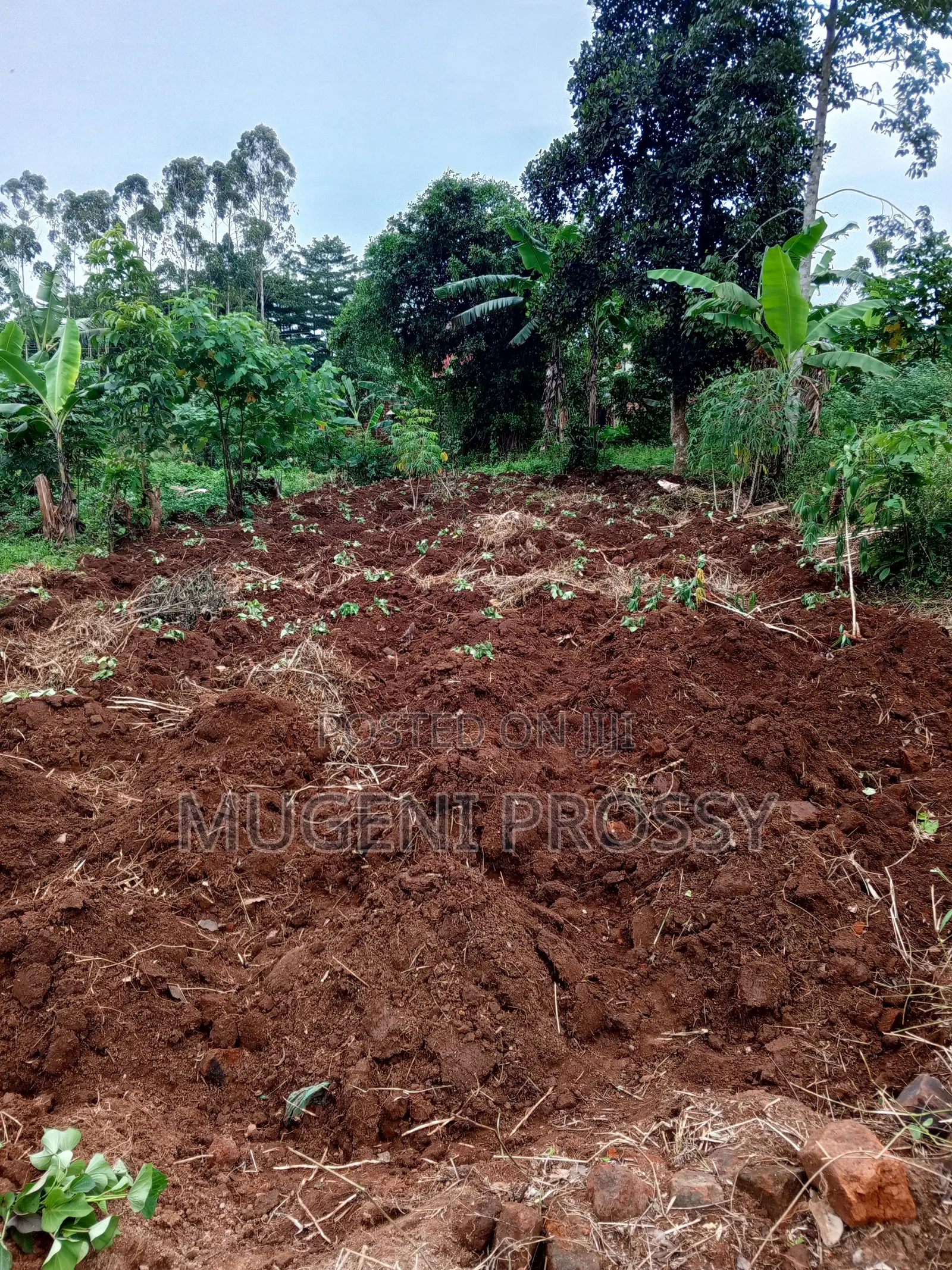 Prime Plot for Sale in Bukerere, Mukono