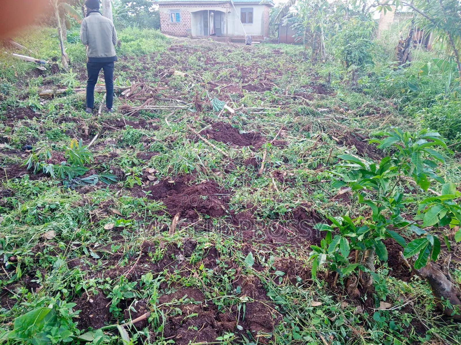 Prime Plot for Sale in Bukerere, Mukono