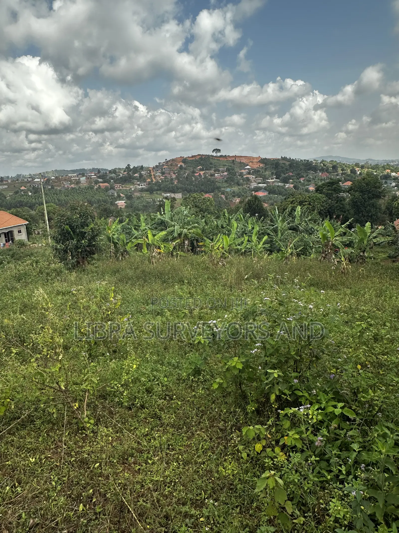 Land for Sale