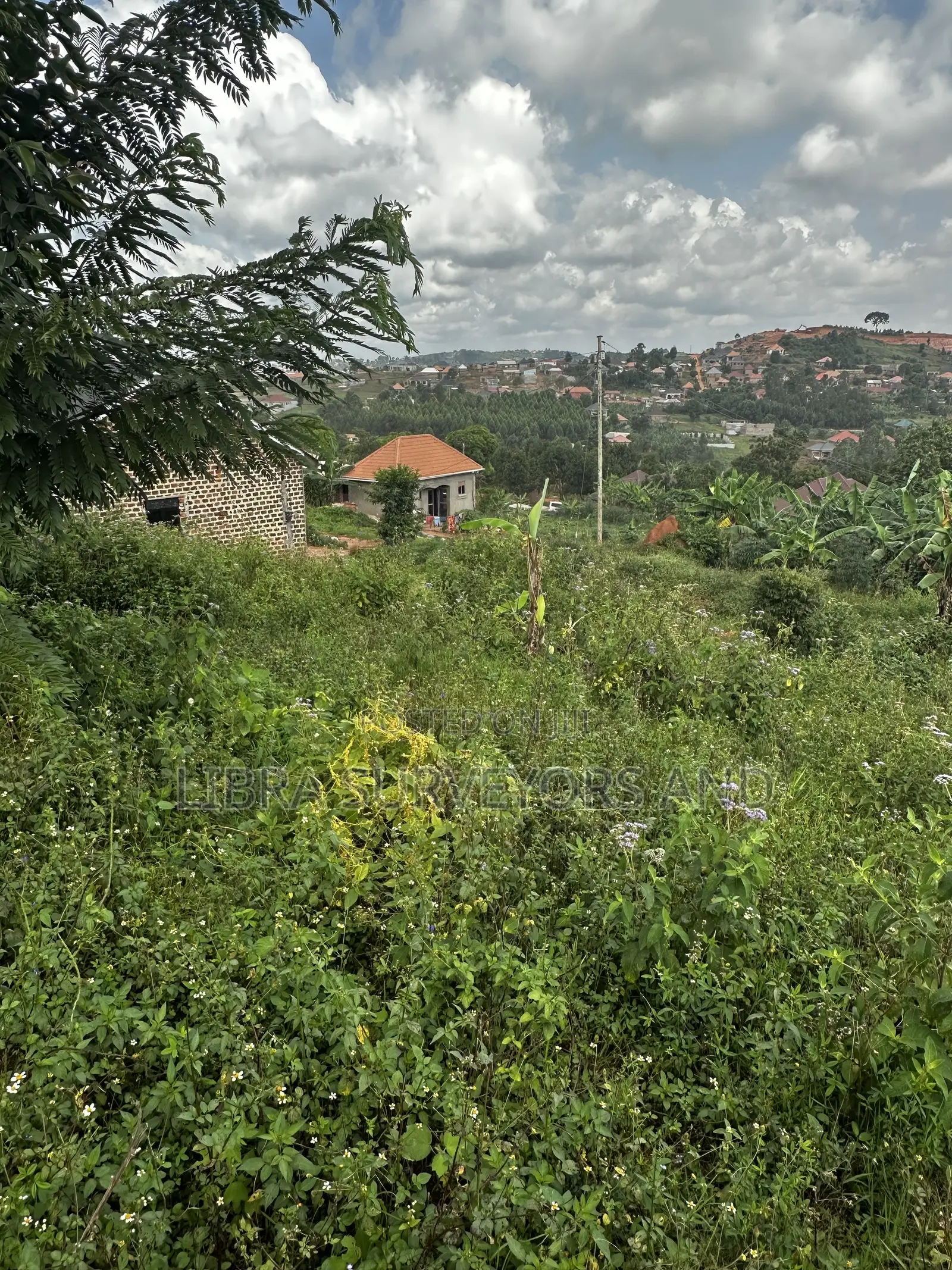 Land for Sale