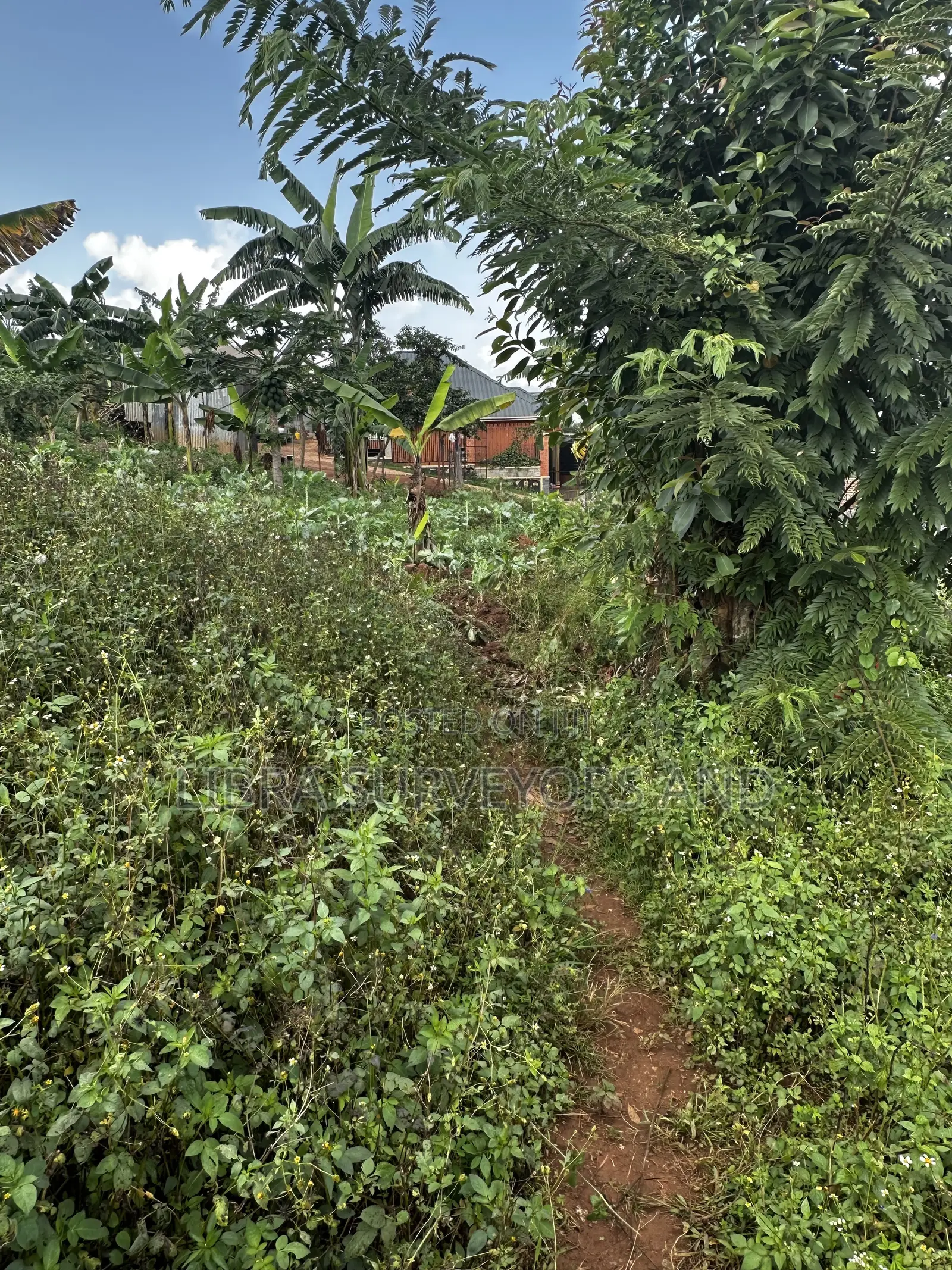 Land for Sale
