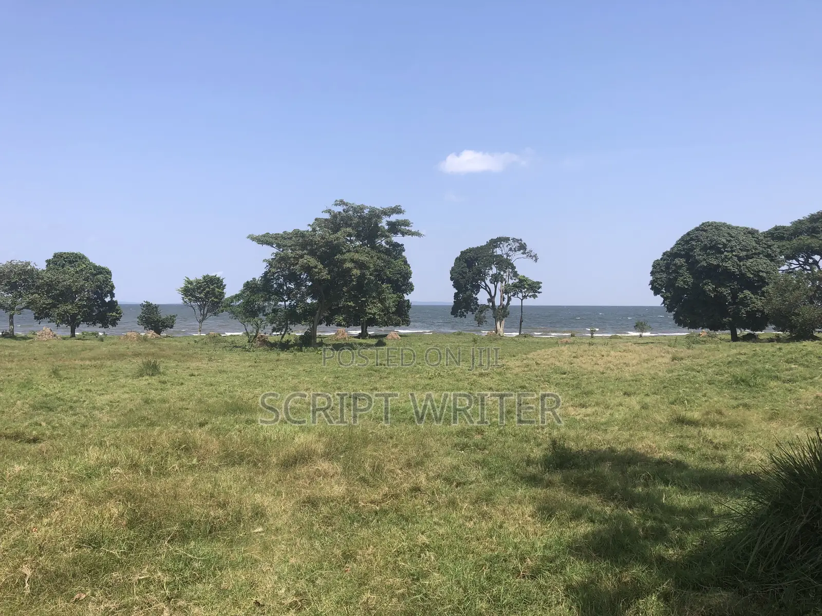 13 Acres Prime Waterfront Land for Sale in Entebbe