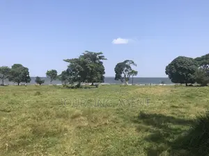 13 Acres Prime Waterfront Land for Sale in Entebbe