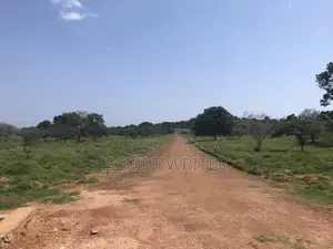 13 Acres Prime Waterfront Land for Sale in Entebbe