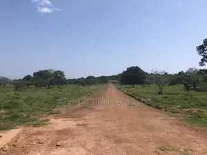 13 Acres Prime Waterfront Land for Sale in Entebbe