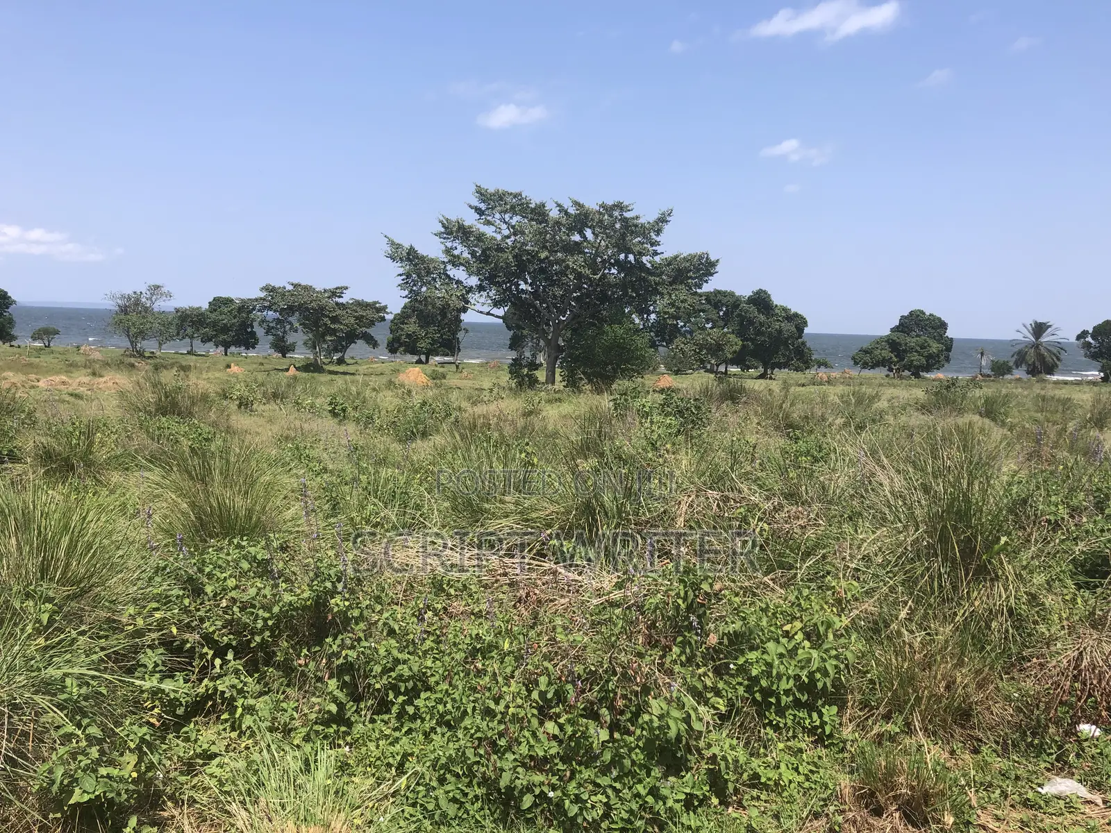 13 Acres Prime Waterfront Land for Sale in Entebbe