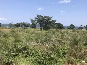 13 Acres Prime Waterfront Land for Sale in Entebbe