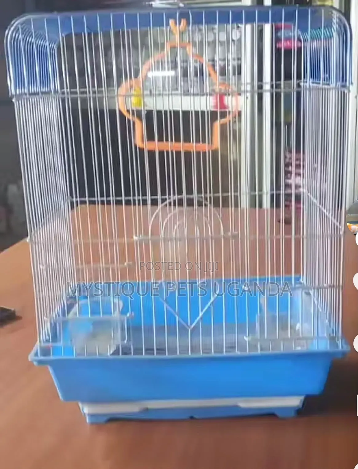 Parrots Bird Cages