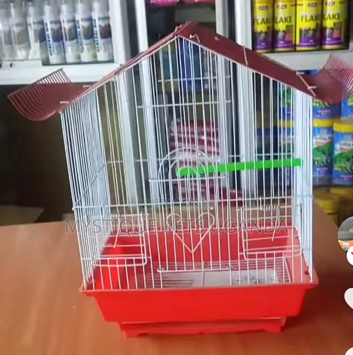 Parrots Bird Cages