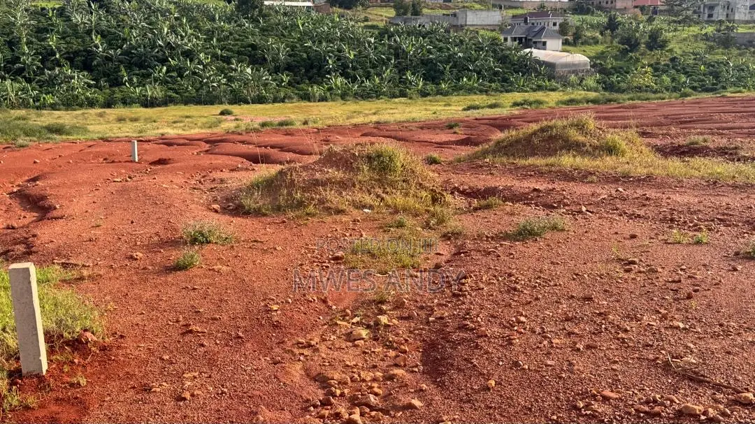 3 Plots Of Land Up For Grab In Kitende