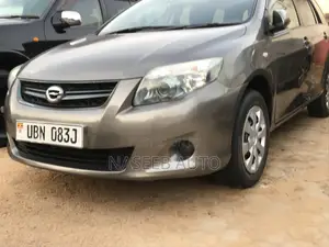 Toyota Corolla Fielder 2009 Gray