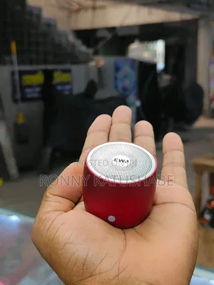 Ewa.Mini Portable Speaker 1