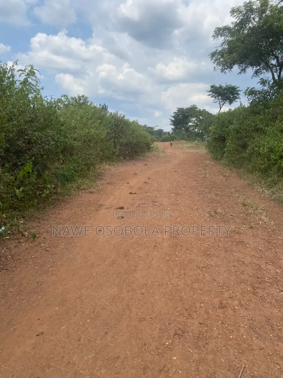 478 Acre for Sale in Kamira -Kikyusa (Luweero )