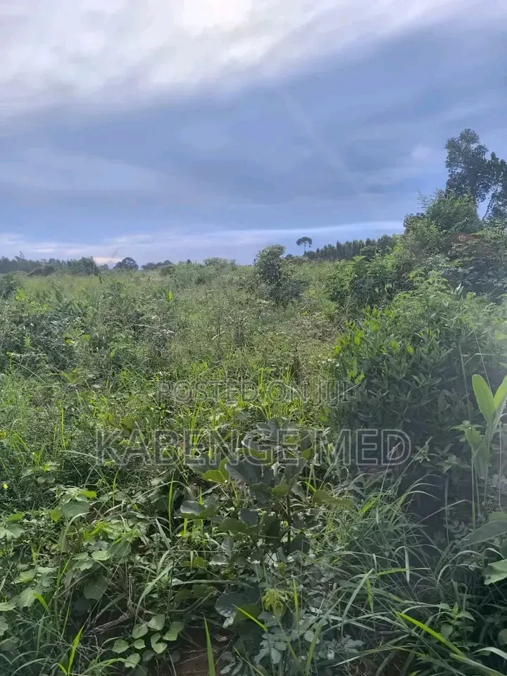 1 Acre of Land Onsale at Lugazi Najjembe Buvuunya Village