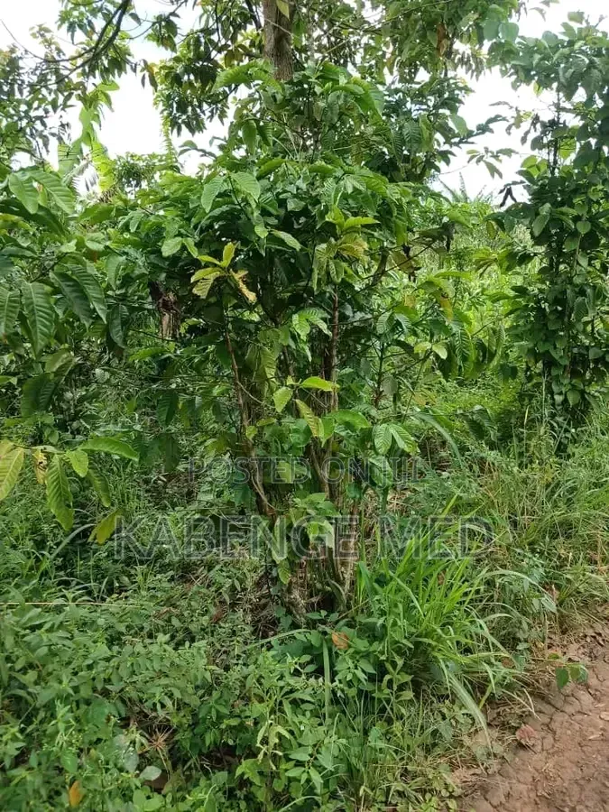 1 Acre of Land Onsale at Lugazi Najjembe Buvuunya Village