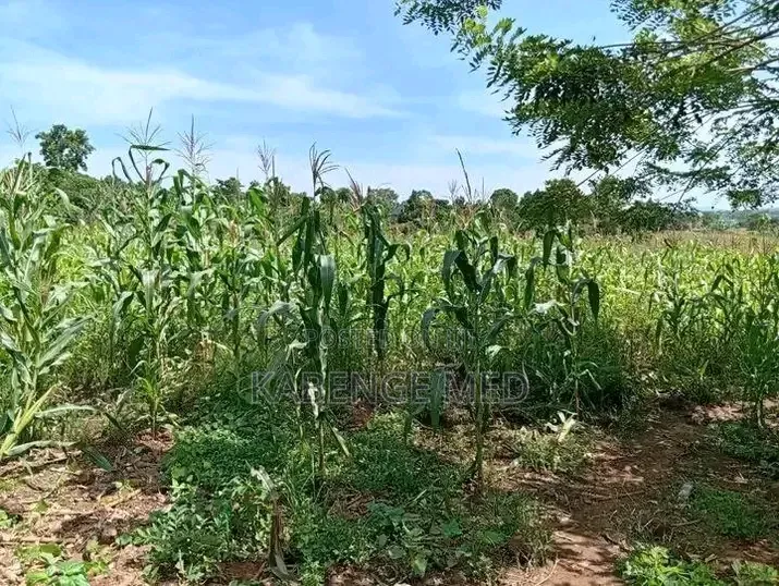 1 Acre of Land Onsale at Lugazi Najjembe Buvuunya Village